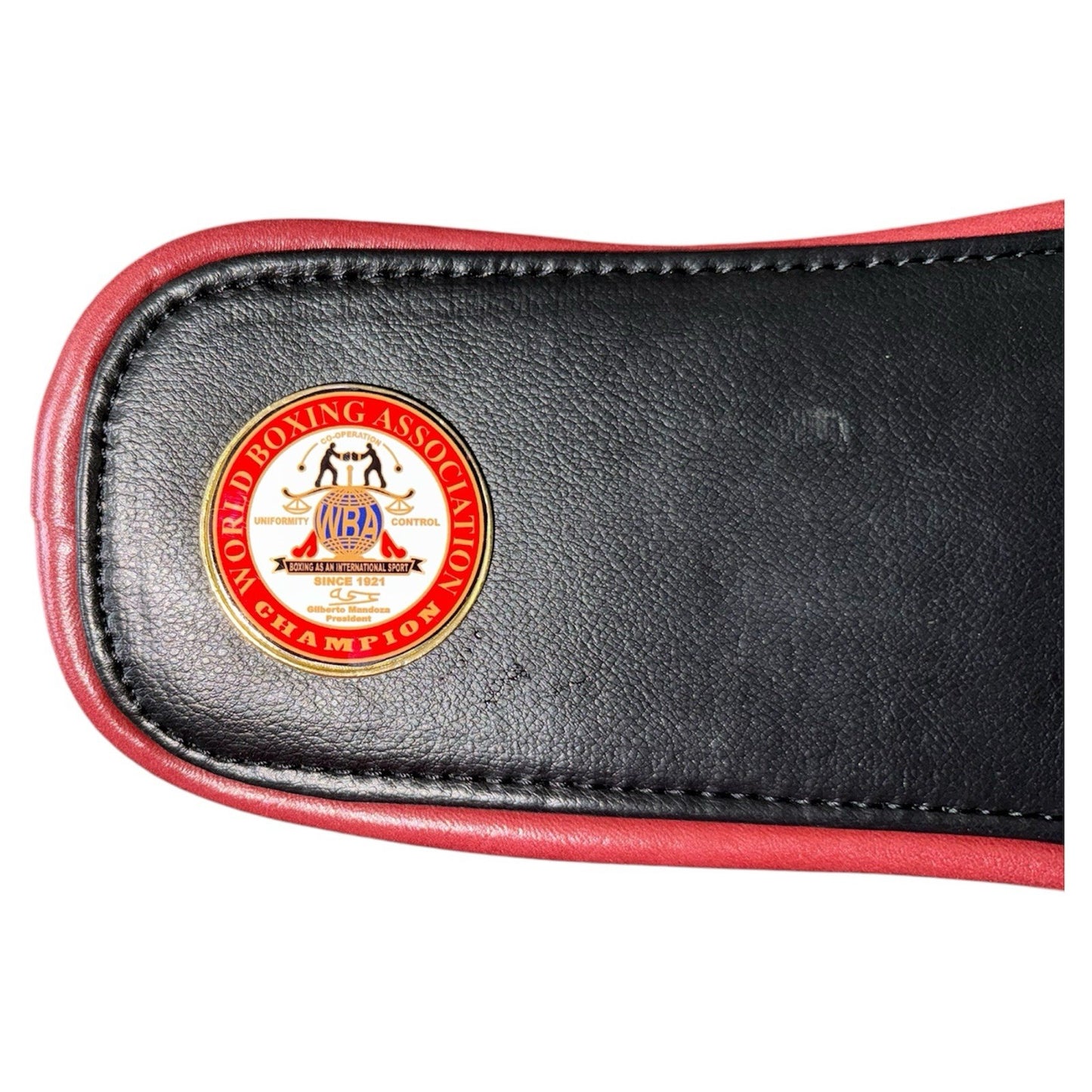 Kids Mini Boxing Championship Belt, IBO, WBO, IBF, WBA, WBC, Replica Title Belts